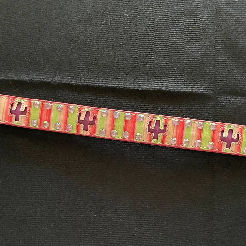 Blinking cactus Colorful Striped Belt with Rhinestone Buckle western